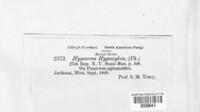Image Associated With the Occurence